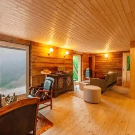 Chalet In Gstaad Near Ski Slopes * Rossinière