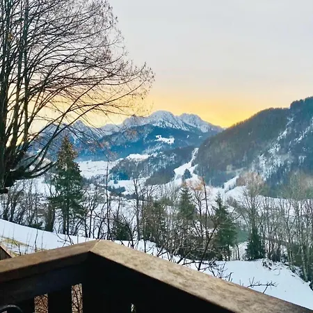 For Big Group With Sauna Chalet Rossiniere