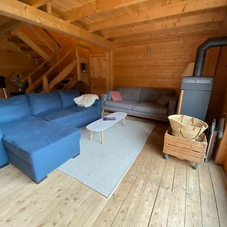 Chalet In Gstaad Near Ski Slopes