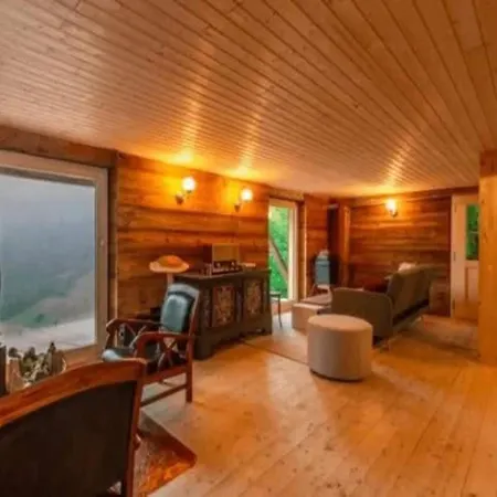For Big Group With Sauna Chalet